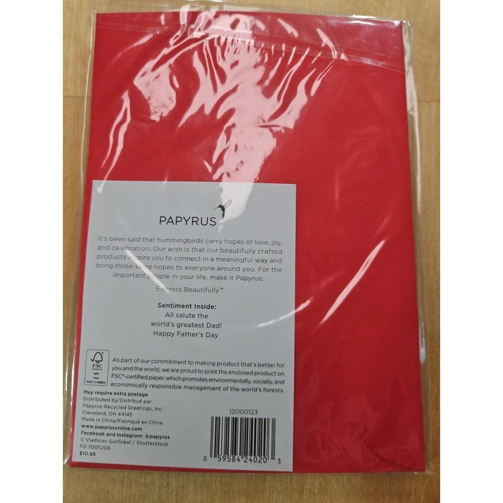 PAPYRUS HAPPY FATHERS DAY CARD DAD IN CHIEF CARD New